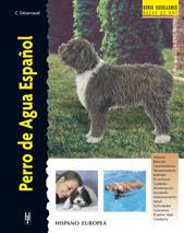 PERRO DE AGUA ESPAÑOL | 9788425515668 | DÉSARNAUD, CRISTINA | Llibreria Drac - Llibreria d'Olot | Comprar llibres en català i castellà online