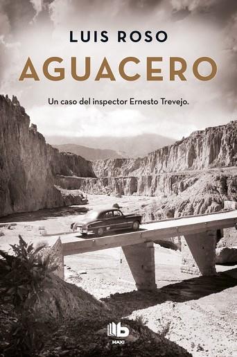 AGUACERO (INSPECTOR TREVEJO 1) | 9788490704363 | ROSO, LUIS | Llibreria Drac - Llibreria d'Olot | Comprar llibres en català i castellà online