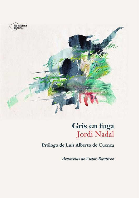 GRIS EN FUGA | 9788410243897 | NADAL, JORDI | Llibreria Drac - Llibreria d'Olot | Comprar llibres en català i castellà online