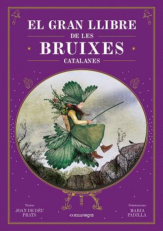 GRAN LLIBRE DE LES BRUIXES CATALANES, EL | 9788410161337 | DE DÉU PRATS, JOAN | Llibreria Drac - Llibreria d'Olot | Comprar llibres en català i castellà online