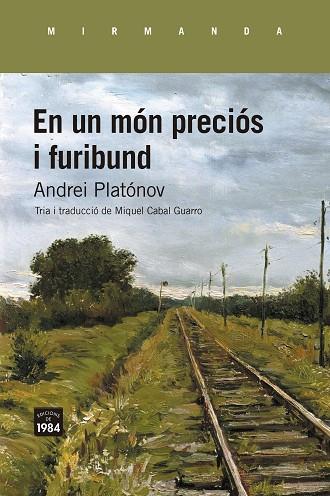 EN UN MÓN PRECIÓS I FURIBUND | 9788418858857 | PLATONOV, ANDREI | Llibreria Drac - Llibreria d'Olot | Comprar llibres en català i castellà online