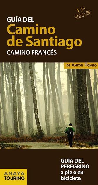 GUÍA DEL CAMINO DE SANTIAGO 2017. CAMINO FRANCÉS | 9788499358420 | VV.AA. | Llibreria Drac - Llibreria d'Olot | Comprar llibres en català i castellà online