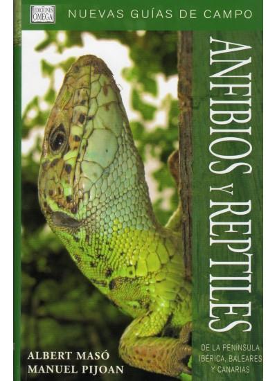 ANFIBIOS Y REPTILES | 9788428213684 | MASO, ALBERT;PIJOAN, MANUEL | Llibreria Drac - Llibreria d'Olot | Comprar llibres en català i castellà online