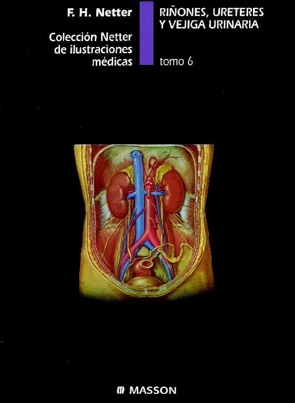 RIÑONES, URETERES Y VEJIGA URINARIA  6 | 9788445801918 | NETTER, F.H. | Llibreria Drac - Librería de Olot | Comprar libros en catalán y castellano online