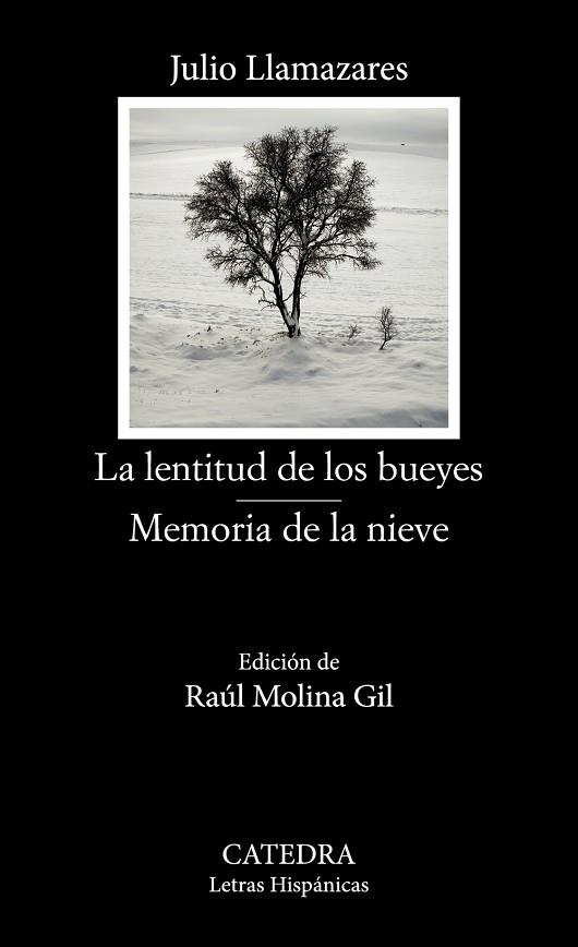 LENTITUD DE LOS BUEYES, LA | MEMORIA DE LA NIEVE | 9788437647791 | LLAMAZARES, JULIO | Llibreria Drac - Llibreria d'Olot | Comprar llibres en català i castellà online