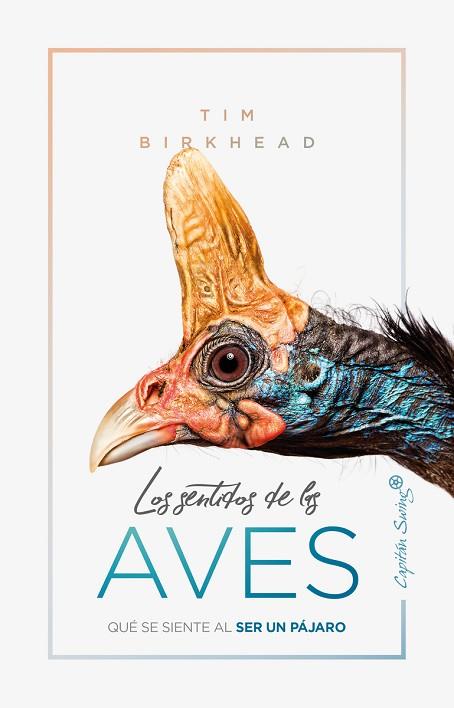 SENTIDOS DE LAS AVES, LOS | 9788412064506 | BIRKHEAD, TIM | Llibreria Drac - Librería de Olot | Comprar libros en catalán y castellano online