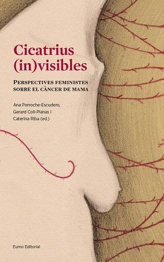 CICATRIUS (IN)VISIBLES | 9788497665643 | PORROCHE, ANA ; COLL, GERARD ; RIBA, CATERINA | Llibreria Drac - Librería de Olot | Comprar libros en catalán y castellano online