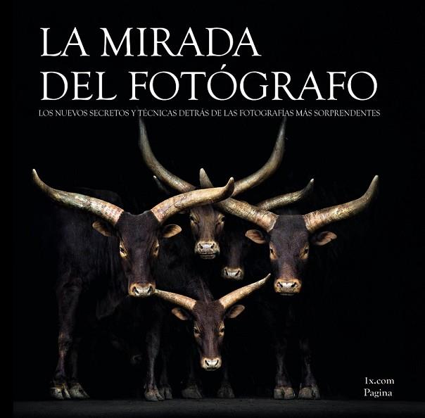 MIRADA DEL FOTOGRAFO, LA | 9788441534254 | AAVV | Llibreria Drac - Librería de Olot | Comprar libros en catalán y castellano online