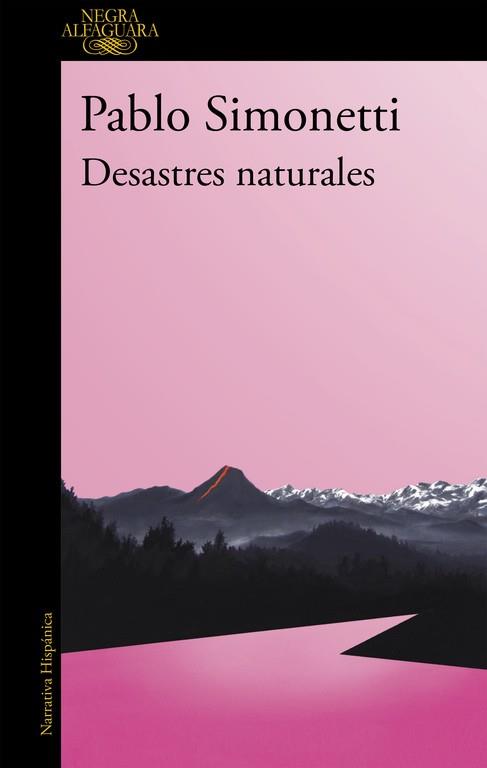 DESASTRES NATURALES | 9788420432595 | SIMONETTI, PABLO | Llibreria Drac - Llibreria d'Olot | Comprar llibres en català i castellà online