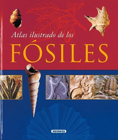 ATLAS ILUSTRADO DE LOS FOSILES | 9788430548712 | Llibreria Drac - Llibreria d'Olot | Comprar llibres en català i castellà online