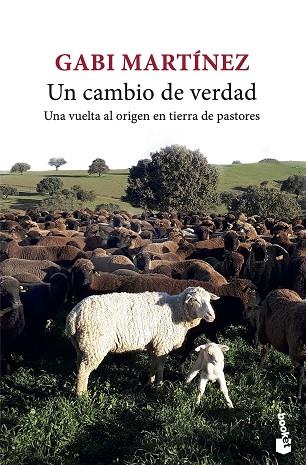 UN CAMBIO DE VERDAD | 9788432239717 | MARTÍNEZ, GABI | Llibreria Drac - Llibreria d'Olot | Comprar llibres en català i castellà online