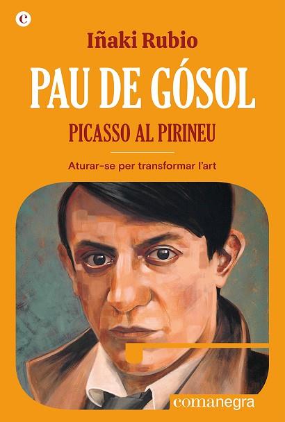 PAU DE GÓSOL | 9788419590404 | RUBIO, IÑAKI | Llibreria Drac - Librería de Olot | Comprar libros en catalán y castellano online