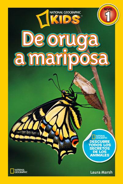 DE ORUGA A MARIPOSA | 9788482985619 | MARSH , LAURA | Llibreria Drac - Librería de Olot | Comprar libros en catalán y castellano online