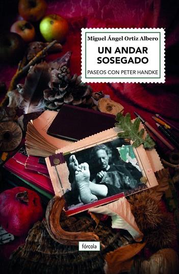 UN ANDAR SOSEGADO | 9788417425807 | ORTIZ, MIGUEL ÁNGEL | Llibreria Drac - Llibreria d'Olot | Comprar llibres en català i castellà online