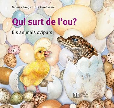 QUI SURT DE L'OU? | 9788426144096 | LANGE, MONIKA; THONISSEN, UTE | Llibreria Drac - Llibreria d'Olot | Comprar llibres en català i castellà online