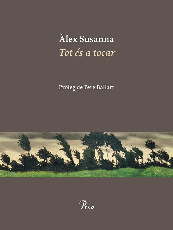 TOT ÉS A TOCAR | 9788410488045 | SUSANNA, ÀLEX | Llibreria Drac - Llibreria d'Olot | Comprar llibres en català i castellà online