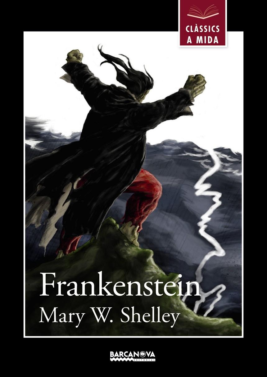 FRANKENSTEIN (CLÀSSICS A MIDA) | 9788448934927 | SHELLEY, MARY W. | Llibreria Drac - Librería de Olot | Comprar libros en catalán y castellano online