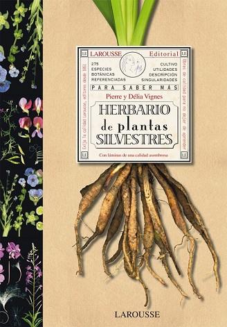 HERBARIO DE PLANTAS SILVESTRES | 9788480168762 | VIGNES, PIERRE I DELIA | Llibreria Drac - Llibreria d'Olot | Comprar llibres en català i castellà online