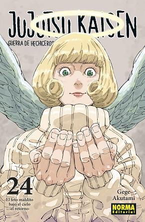 JUJUTSU KAISEN 24 | 9788467967319 | AKUTAMI, GEGE | Llibreria Drac - Llibreria d'Olot | Comprar llibres en català i castellà online