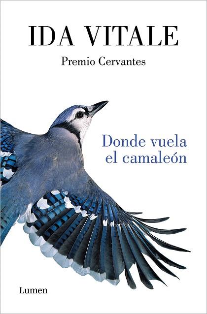 DONDE VUELA EL CAMALEÓN | 9788426416926 | VITALE, IDA | Llibreria Drac - Librería de Olot | Comprar libros en catalán y castellano online