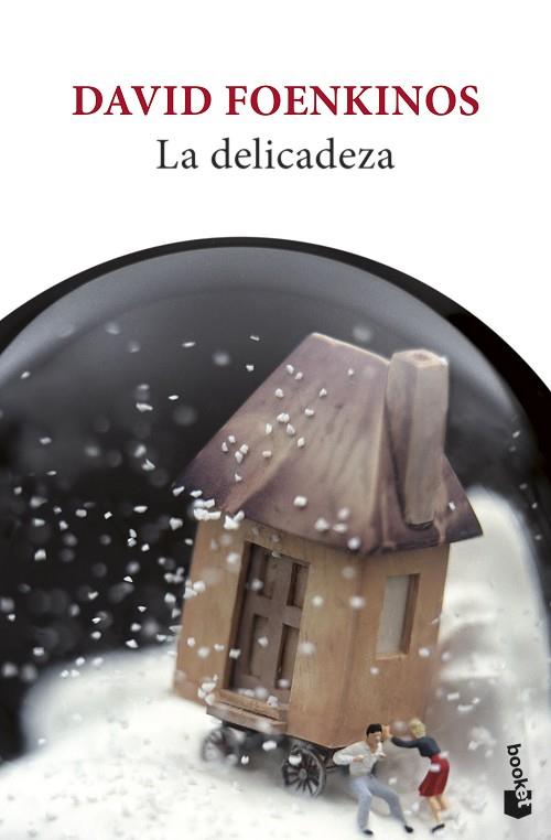 DELICADEZA, LA | 9788432240898 | FOENKINOS, DAVID | Llibreria Drac - Librería de Olot | Comprar libros en catalán y castellano online