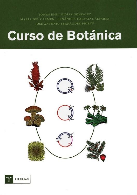 CURSO DE BOTANICA | 9788497041133 | DIAZ; FERNANDEZ-CARVAJAL | Llibreria Drac - Llibreria d'Olot | Comprar llibres en català i castellà online