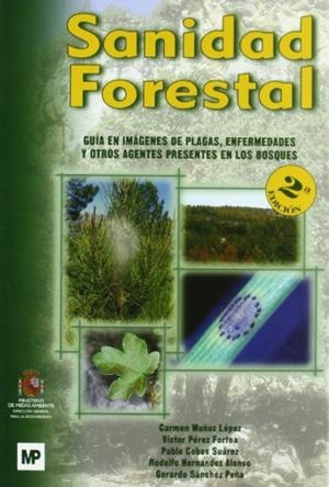 SANIDAD FORESTAL | 9788484763024 | VV.AA. | Llibreria Drac - Llibreria d'Olot | Comprar llibres en català i castellà online