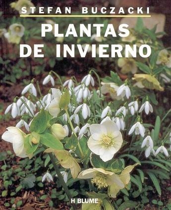 PLANTAS DE INVIERNO | 9788489840010 | BUCZACKI, STEFAN | Llibreria Drac - Llibreria d'Olot | Comprar llibres en català i castellà online