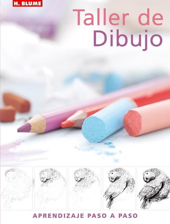 TALLER DE DIBUJO | 9788496669031 | Llibreria Drac - Llibreria d'Olot | Comprar llibres en català i castellà online