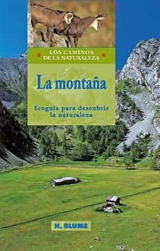 MONTAÑA, LA. ECOGUIA PARA DESCUBRIR LA NATURALEZA | 9788489840324 | AA.VV. | Llibreria Drac - Llibreria d'Olot | Comprar llibres en català i castellà online