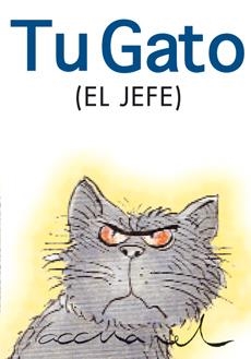 TU GATO (EL JEFE) | 9788467157666 | EXLEY, HELEN | Llibreria Drac - Llibreria d'Olot | Comprar llibres en català i castellà online