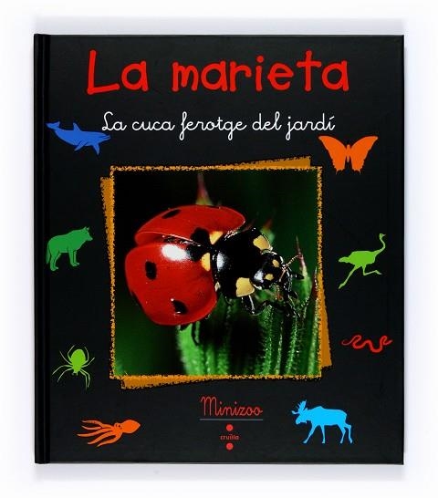 MARIETA LA CUCA FEROTGE DEL JARDI | 9788466120555 | TRACQUI, VALERIE | Llibreria Drac - Llibreria d'Olot | Comprar llibres en català i castellà online