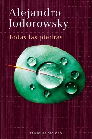 TODAS LAS PIEDRAS | 9788497775021 | JODOROWSKY, ALEJANDRO | Llibreria Drac - Llibreria d'Olot | Comprar llibres en català i castellà online