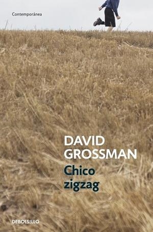 CHICO ZIGZAG | 9788499894805 | GROSSMAN, DAVID | Llibreria Drac - Llibreria d'Olot | Comprar llibres en català i castellà online