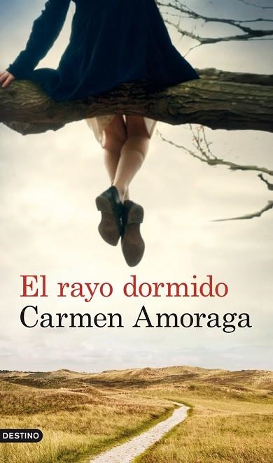 RAYO DORMIDO, EL | 9788423327133 | AMORAGA, CARMEN | Llibreria Drac - Llibreria d'Olot | Comprar llibres en català i castellà online