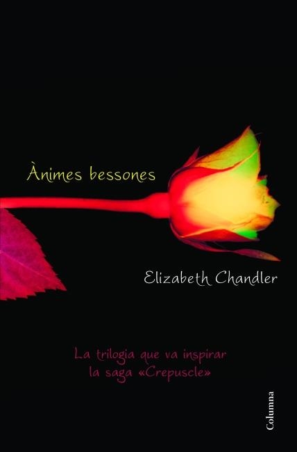 ANIMES BESSONES | 9788466415101 | CHANDLER, ELIZABETH | Llibreria Drac - Llibreria d'Olot | Comprar llibres en català i castellà online