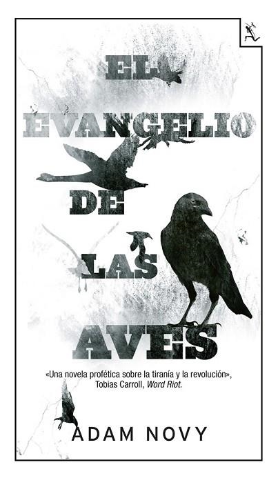 EVANGELIO DE LAS AVES, EL | 9788432210150 | NOVY, ADAM | Llibreria Drac - Llibreria d'Olot | Comprar llibres en català i castellà online