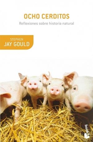 OCHO CERDITOS | 9788408008903 | JAY GOULD, STEPHEN | Llibreria Drac - Llibreria d'Olot | Comprar llibres en català i castellà online