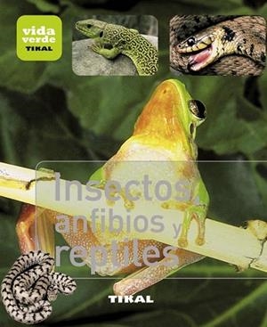 INSECTOS ANFIBIOS Y REPTILES | 9788499281377 | VV.AA. | Llibreria Drac - Llibreria d'Olot | Comprar llibres en català i castellà online