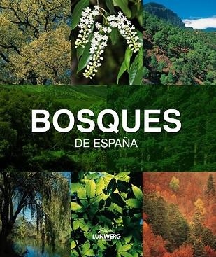 BOSQUES DE ESPAÑA | 9788497857482 | VV.AA. | Llibreria Drac - Llibreria d'Olot | Comprar llibres en català i castellà online