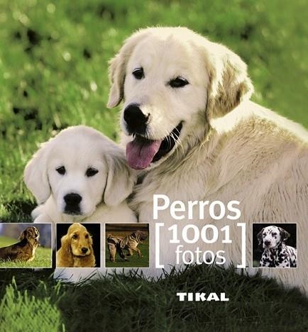 PERROS 1001 FOTOS | 9788499280851 | HUART, FRANÇOISE/ROY, SÉGOLÈNE | Llibreria Drac - Llibreria d'Olot | Comprar llibres en català i castellà online