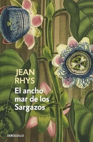 ANCHO MAR DE LOS SARGAZOS, EL | 9788499087443 | RHYS, JEAN | Llibreria Drac - Llibreria d'Olot | Comprar llibres en català i castellà online