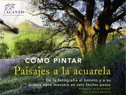 COMO PINTAR PAISAJES A LA ACUARELA | 9788495376688 | HARRISON, HAZEL | Llibreria Drac - Librería de Olot | Comprar libros en catalán y castellano online