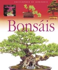 BONSAIS | 9788430567652 | VV.AA. | Llibreria Drac - Llibreria d'Olot | Comprar llibres en català i castellà online