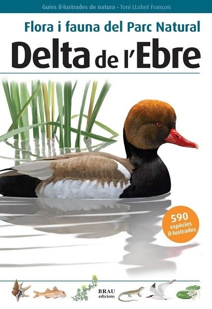 FLORA I FAUNA DEL PARC NATURAL DELTA DE L'EBRE | 9788496905184 | LLOBET, TONI | Llibreria Drac - Llibreria d'Olot | Comprar llibres en català i castellà online