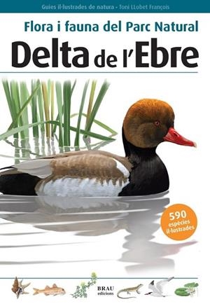 FLORA I FAUNA DEL PARC NATURAL DELTA DE L'EBRE | 9788496905184 | LLOBET, TONI | Llibreria Drac - Llibreria d'Olot | Comprar llibres en català i castellà online