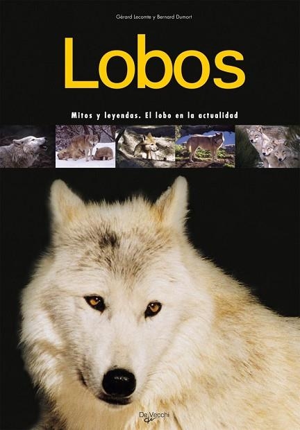 LOBOS | 9788431539672 | LECOMTE | Llibreria Drac - Llibreria d'Olot | Comprar llibres en català i castellà online