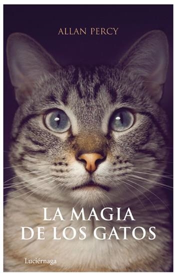 MAGIA DE LOS GATOS, LA | 9788492545063 | PERCY, ALLAN | Llibreria Drac - Llibreria d'Olot | Comprar llibres en català i castellà online