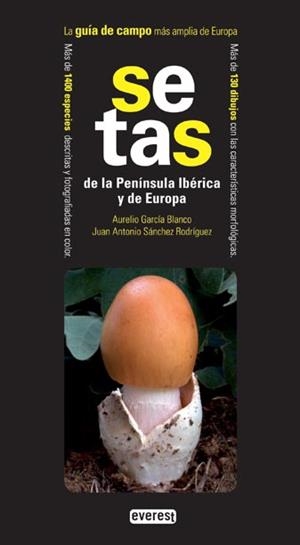 SETAS DE LA PENINSULA IBERICA Y DE EUROPA | 9788424170950 | AA.DD. | Llibreria Drac - Llibreria d'Olot | Comprar llibres en català i castellà online