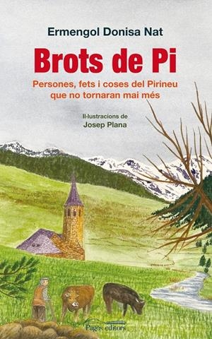 BROTS DE PI | 9788497799386 | DONISA, ERMENGOL | Llibreria Drac - Llibreria d'Olot | Comprar llibres en català i castellà online